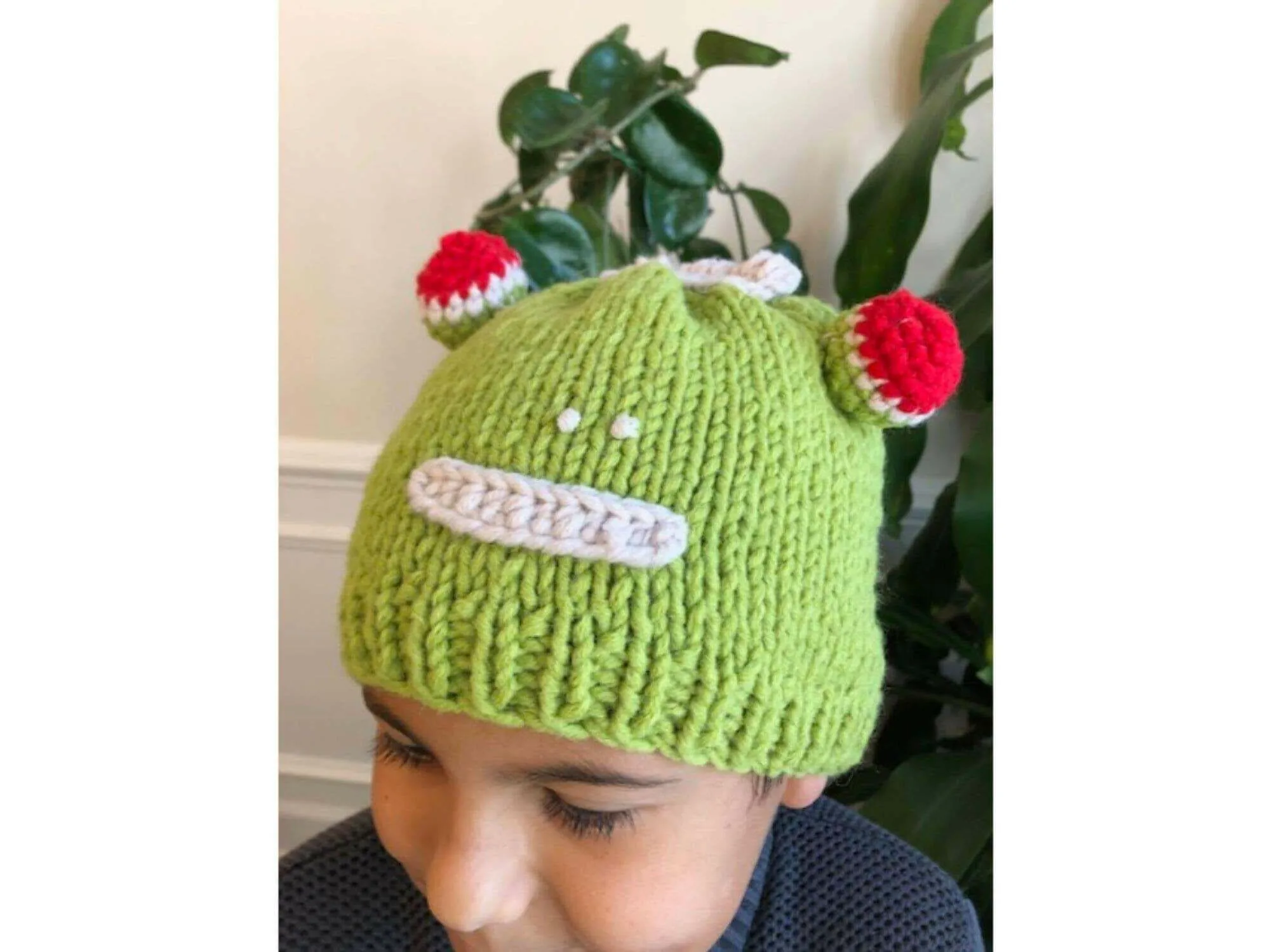 Kids Beanie Hat, Kids Winter Hand-Knitted Wool Frog Animal Theme Hat